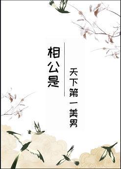 相公是天下第一美男[综武侠]封面