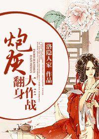 炮灰翻身大作战封面