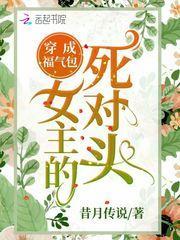 穿成福气包女主的死对头封面