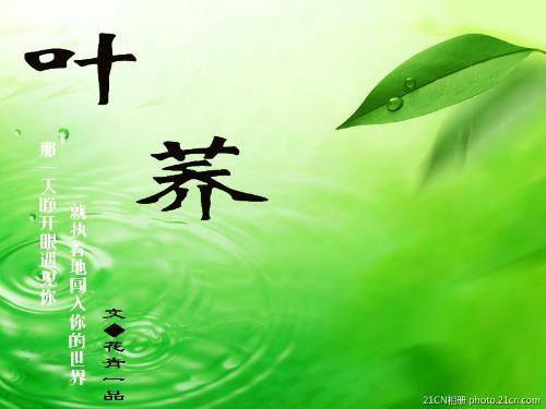 叶荞（异世重生）封面