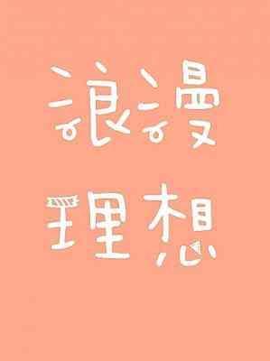 浪漫理想封面