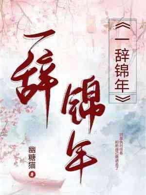 一辞锦年(改版)封面