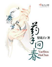 药手回春封面