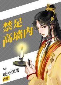 禁足高墻内[快穿]封面