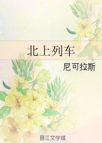 北上列车封面