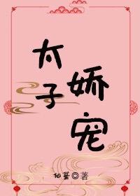 太子娇宠封面