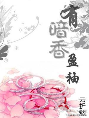 有暗香盈袖封面
