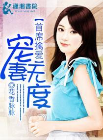 首席擒爱宠妻无度封面