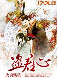 盗君心封面