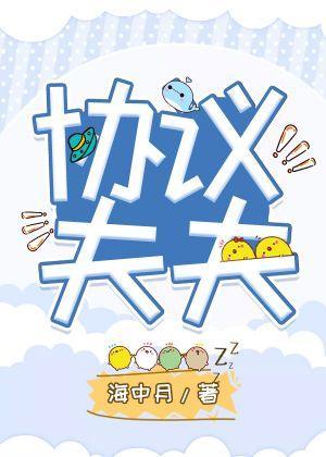协议夫夫封面