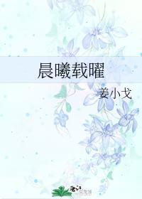 晨曦载曜封面
