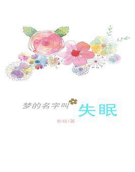 梦的名字叫失眠封面