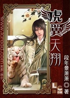 虎翼天翔封面