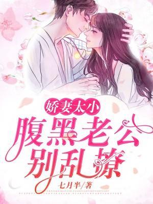 娇妻太小：腹黑老公别乱撩封面