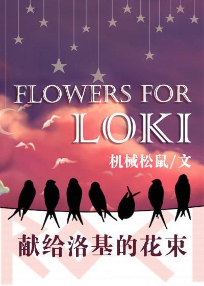 献给洛基的花束[综英美]封面