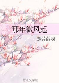 那年微风起封面