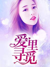 爱里寻觅封面