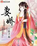 妻娇封面