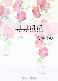 寻寻觅觅封面