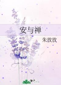 安与禅封面