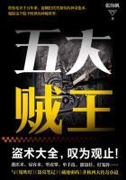 侠盗联盟:五大贼王封面