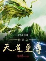 异世之天道至尊封面