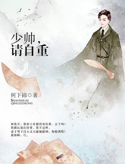 少帅，请自重封面