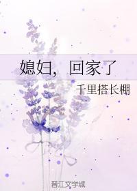 媳妇,回家了封面