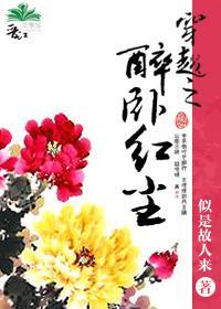 穿越之醉卧红尘封面