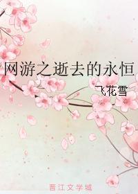 网游之逝去的永恒封面