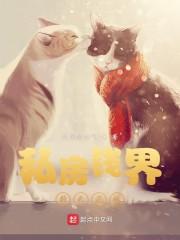 私房钱界的天花板封面