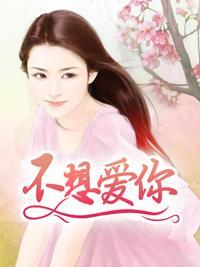 不想爱你封面