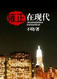 雍正在现代（清反穿）封面