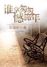 谁拿匆匆憾锦年封面