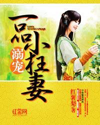 溺宠一品小狂妻封面