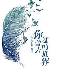 你曾去过的世界封面