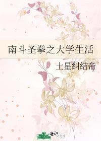 南斗圣拳之大学生活封面