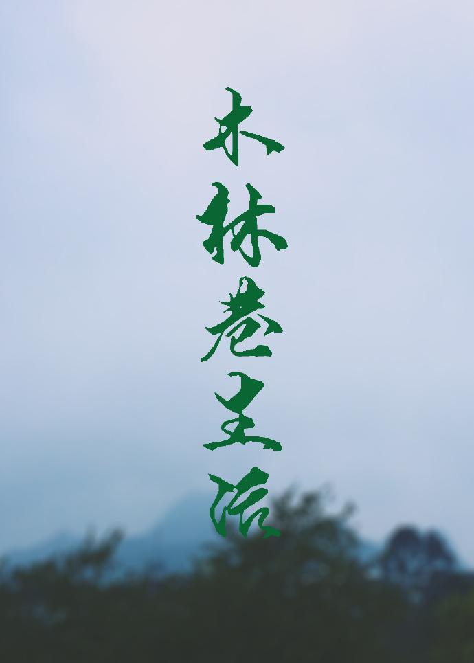 木林巷生活封面