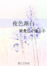 夜色渐白封面