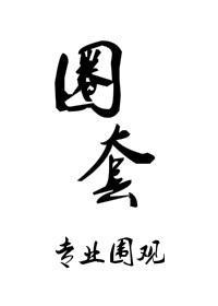 圈套封面