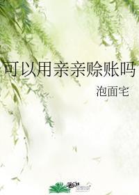 可以用亲亲赊账吗封面