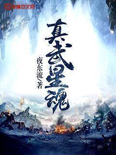 真武星魂封面