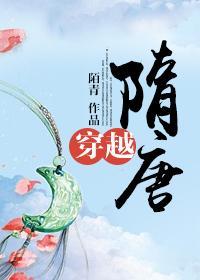 穿越隋唐封面