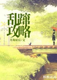 乱蹿攻略封面
