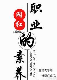网红的职业素养封面