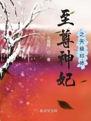至尊神妃之天级印师封面