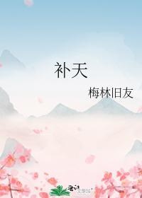 补天封面