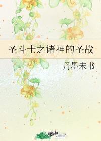 圣斗士之诸神的圣战封面