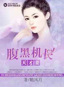 腹黑机长天才妻封面
