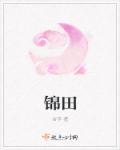 锦田封面